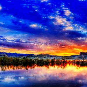 Meet your Posher, Lane